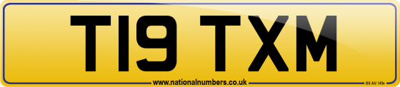 T19 TXM