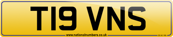 T19 VNS
