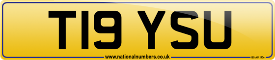 T19 YSU
