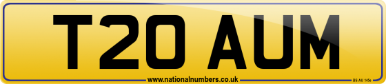 T20 AUM