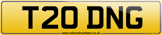 T20 DNG
