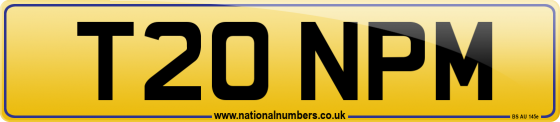 T20 NPM