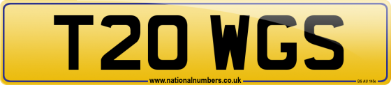T20 WGS