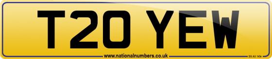 T20 YEW