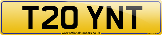 T20 YNT