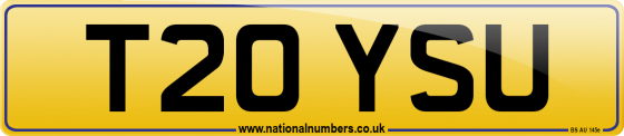 T20 YSU