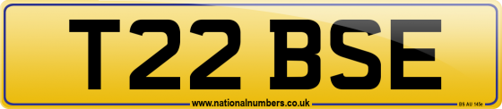 T22 BSE