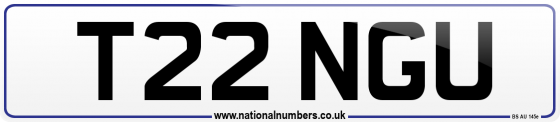 T22 NGU