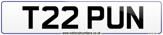 T22 PUN