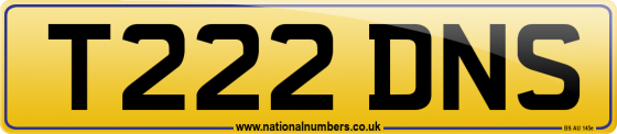 T222 DNS