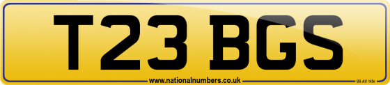 T23 BGS