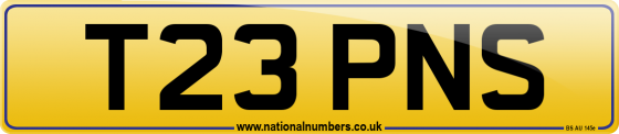 T23 PNS