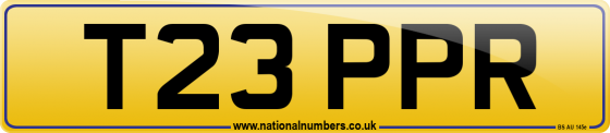 T23 PPR