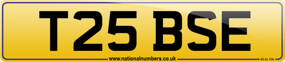 T25 BSE