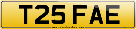 T25 FAE