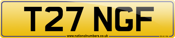 T27 NGF