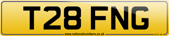 T28 FNG