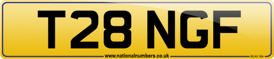T28 NGF
