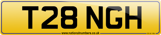 T28 NGH