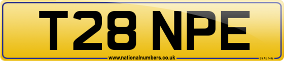 T28 NPE