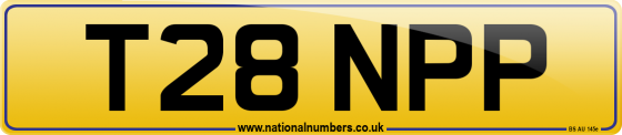 T28 NPP