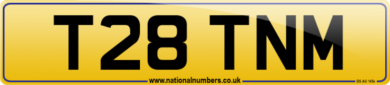 T28 TNM