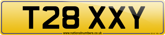 T28 XXY