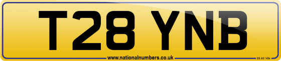 T28 YNB