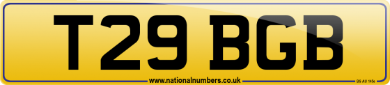 T29 BGB
