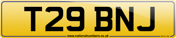 T29 BNJ