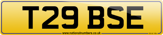 T29 BSE