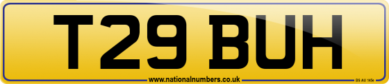T29 BUH