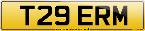 T29 ERM