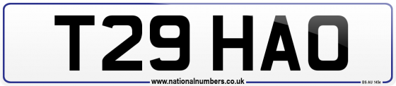 T29 HAO