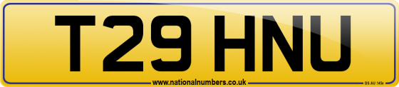 T29 HNU