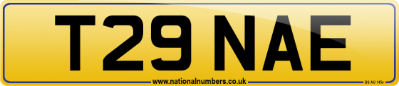 T29 NAE