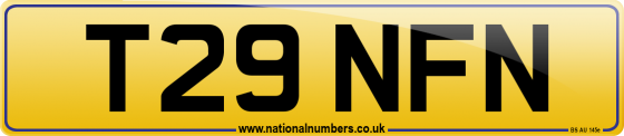 T29 NFN