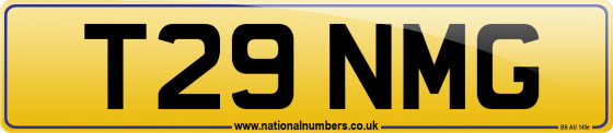 T29 NMG