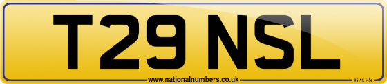 T29 NSL