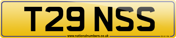 T29 NSS