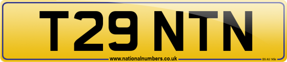 T29 NTN