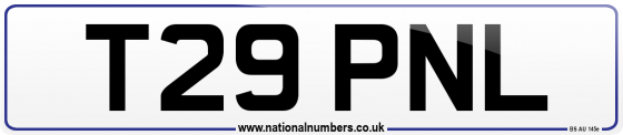 T29 PNL