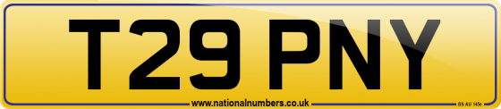 T29 PNY