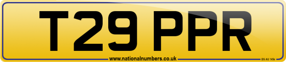 T29 PPR