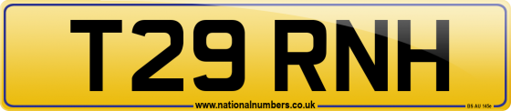 T29 RNH