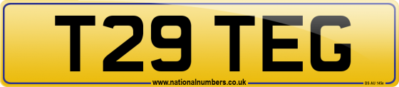 T29 TEG