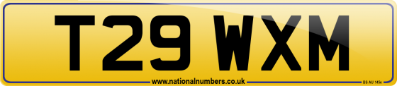 T29 WXM