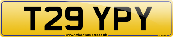 T29 YPY