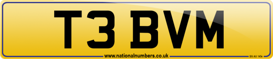 T3 BVM