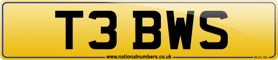 T3 BWS